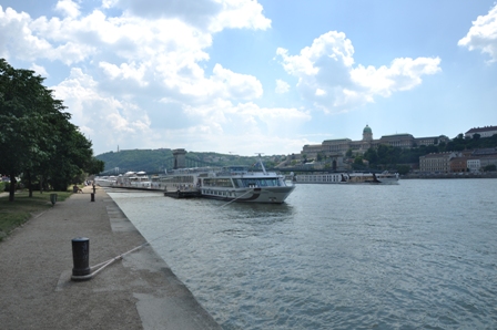 DSC_0135.JPG
