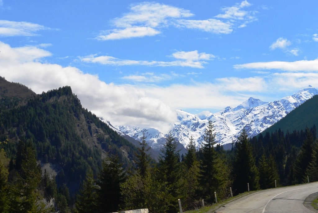DSC_5142.JPG
