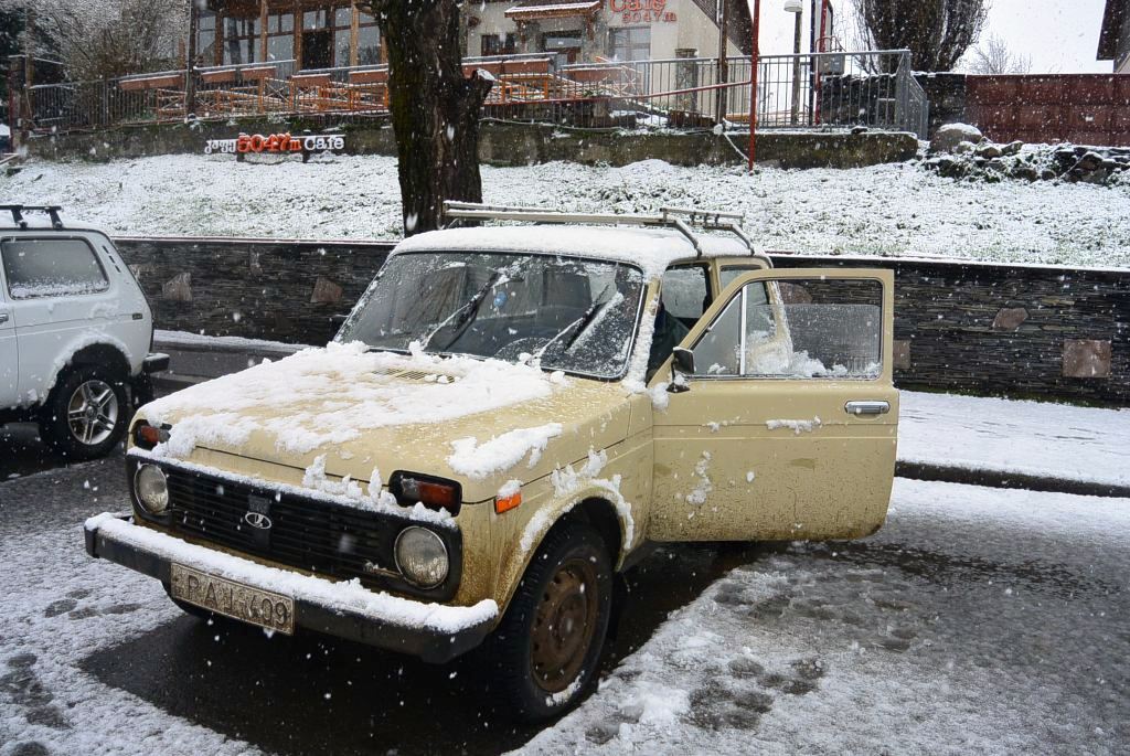 DSC_5810.JPG