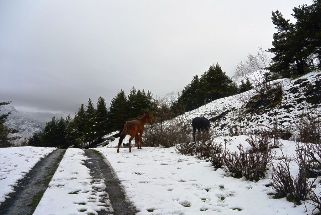DSC_5854.JPG