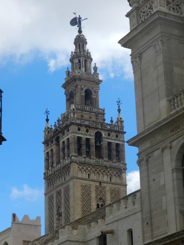 DSCN3354.jpg