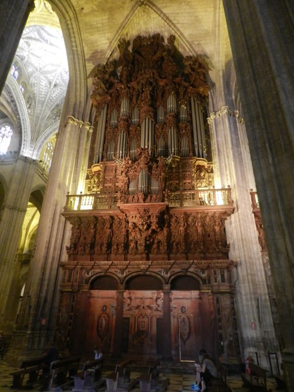 DSCN3403.jpg