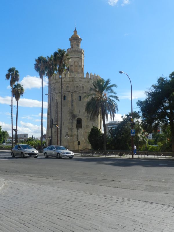 DSCN3513.jpg