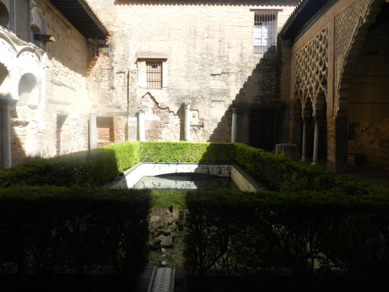 DSCN3619.jpg