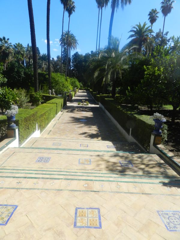DSCN3700.jpg