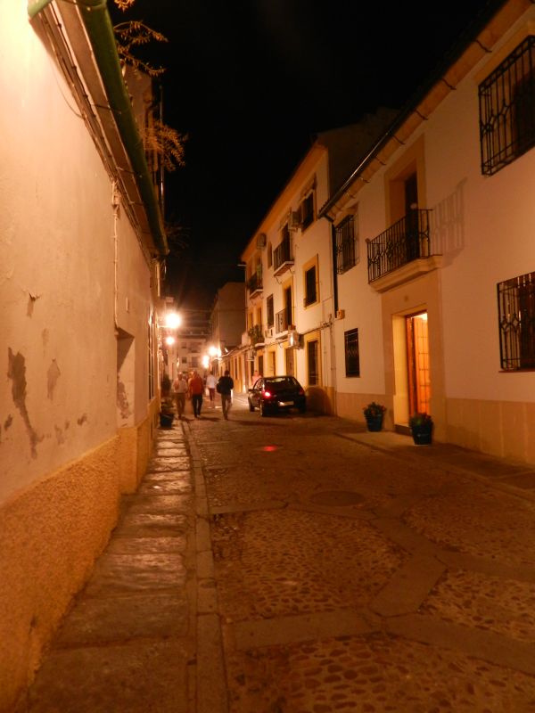 DSCN3732.jpg