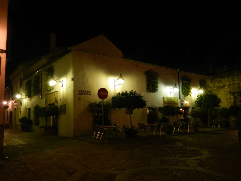 DSCN3733.jpg