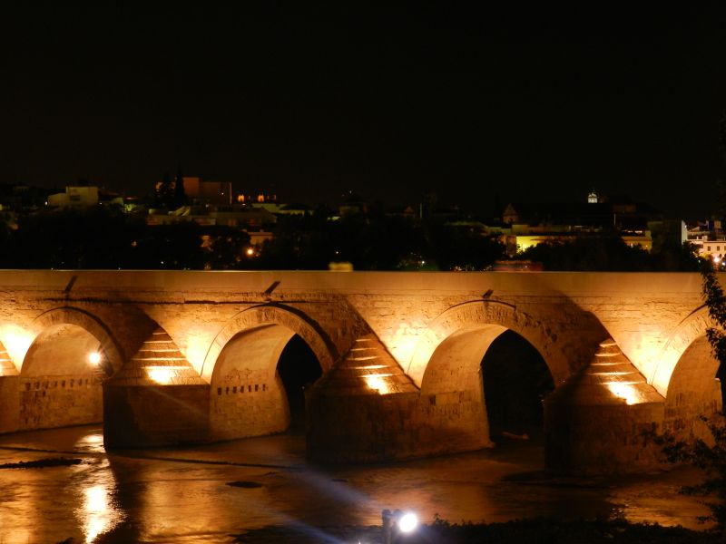 DSCN3752.jpg