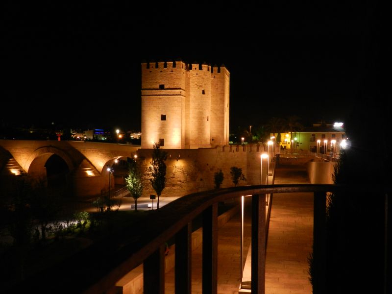 DSCN3753.jpg