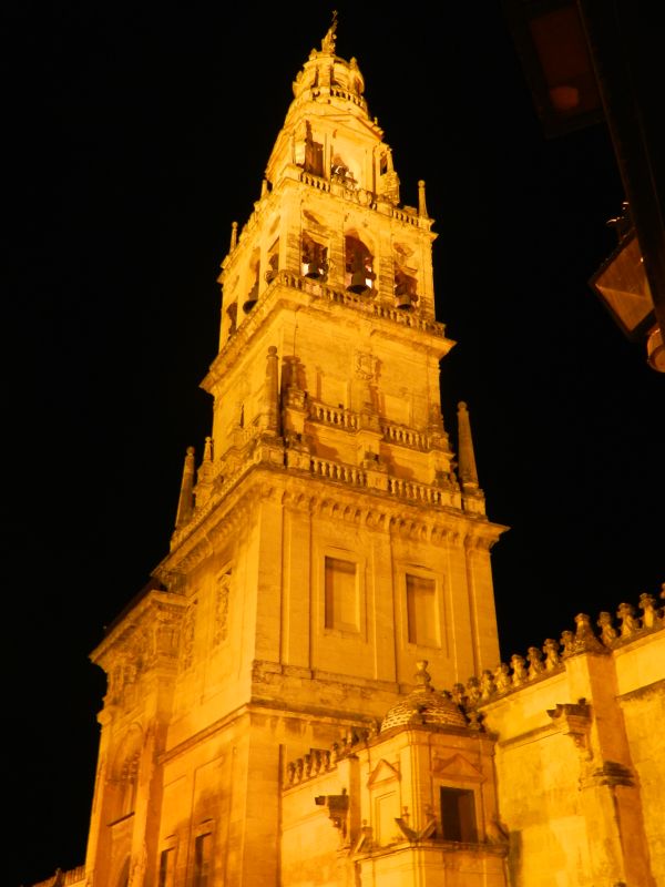 DSCN3775.jpg