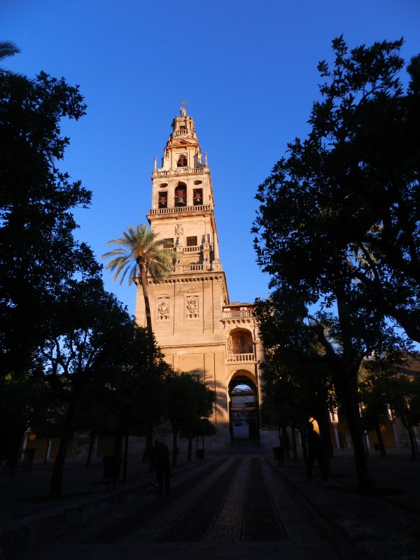 DSCN3782.jpg