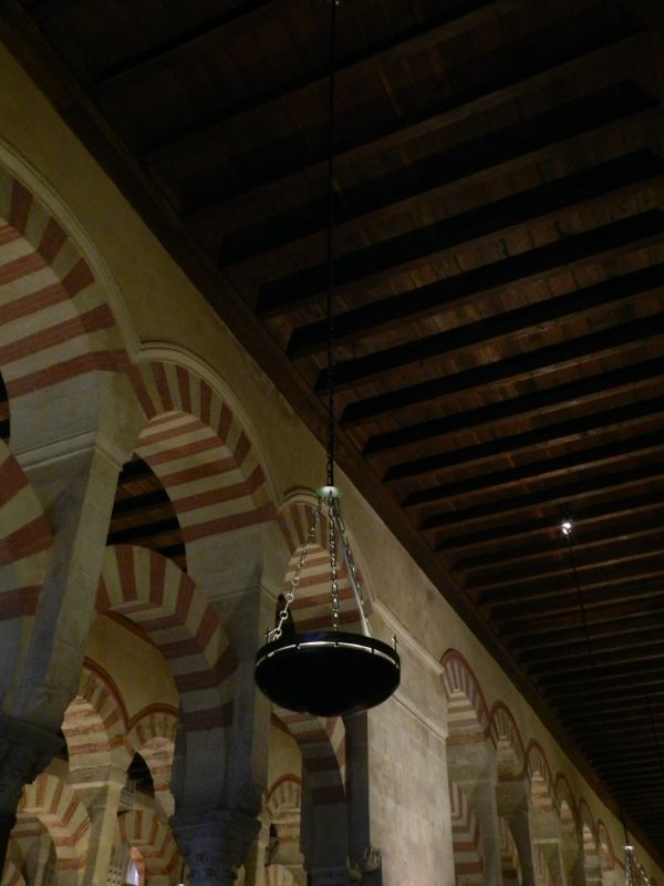 DSCN3787.jpg