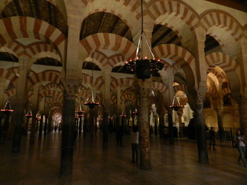 DSCN3802.jpg