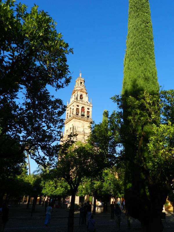 DSCN3847.jpg