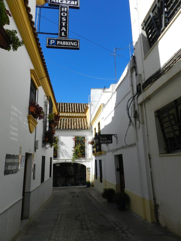 DSCN3947.jpg