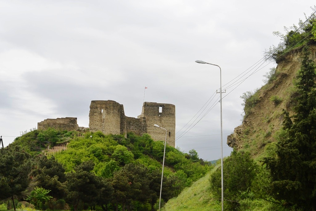 DSC_5966.JPG