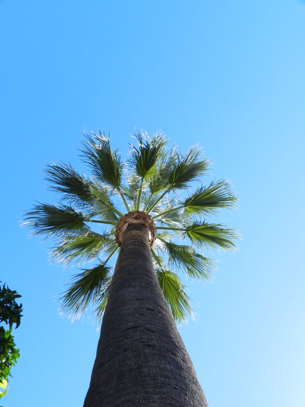 DSCN3945.jpg
