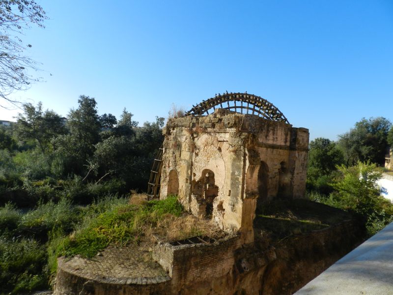 DSCN3866.jpg