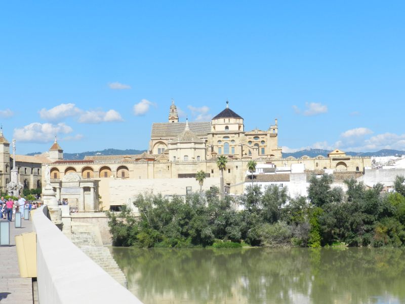 DSCN3954.jpg
