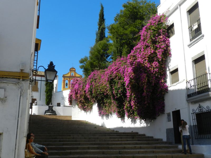 DSCN3980.jpg