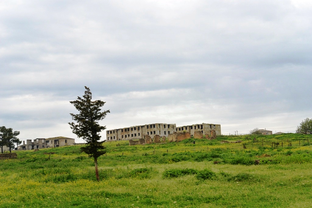 DSC_6287.JPG