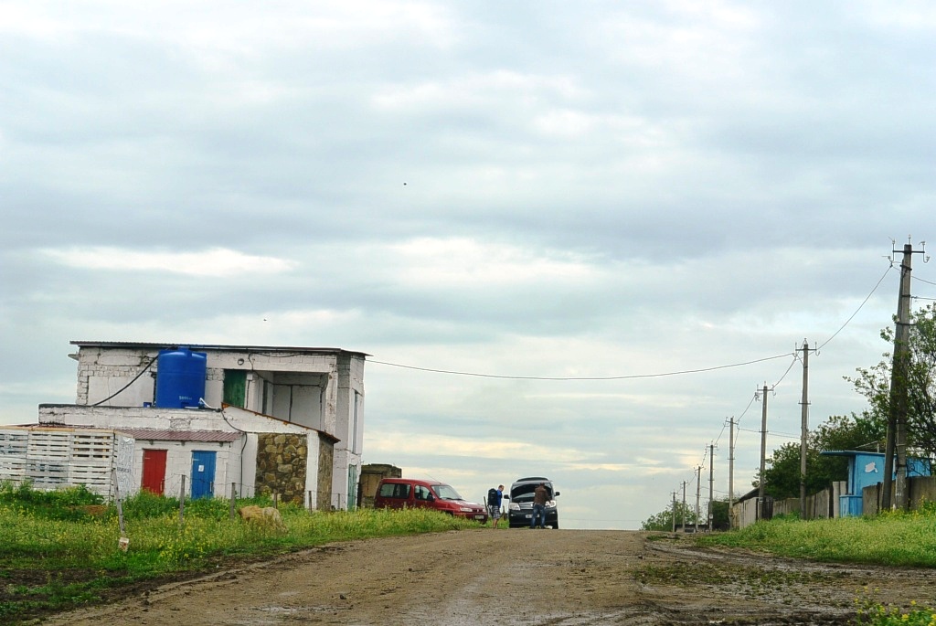 DSC_6289.JPG