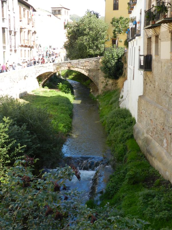 DSCN4025.jpg