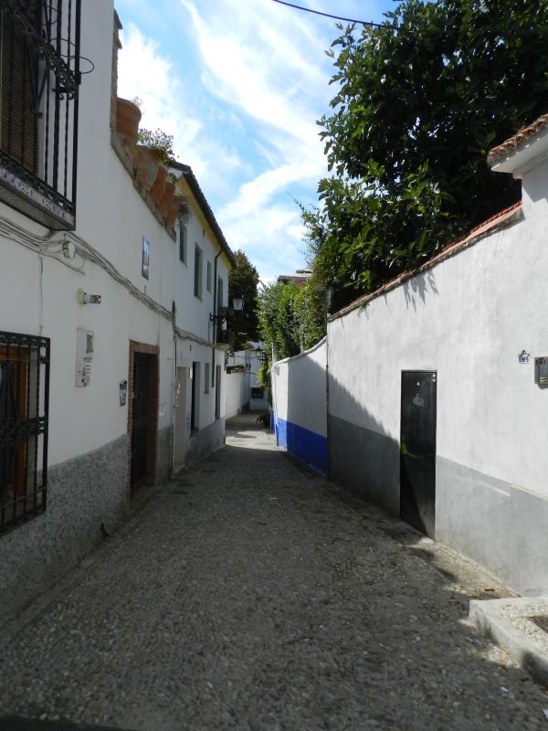 DSCN4055.jpg