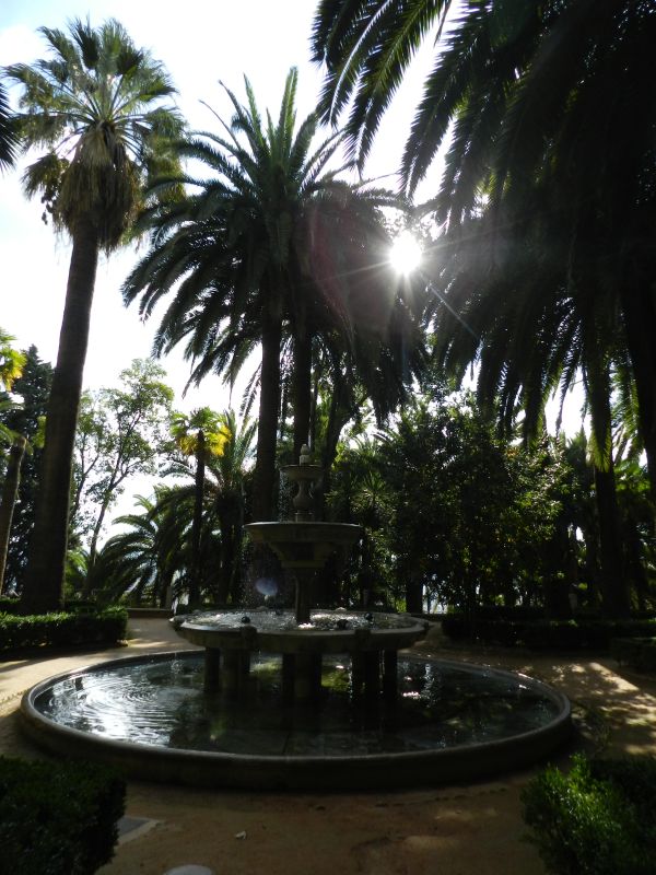 DSCN4137.jpg