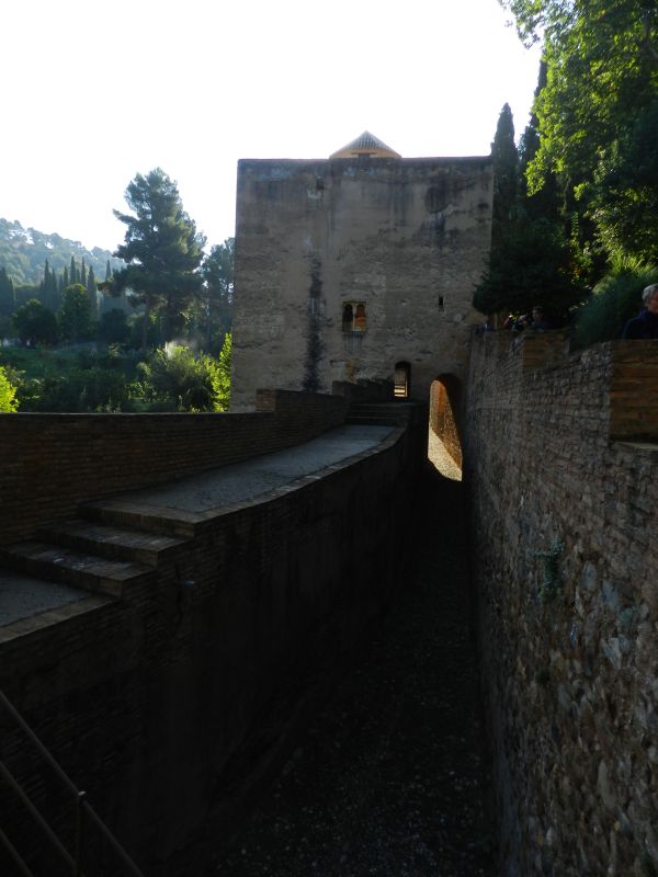 DSCN4302.jpg