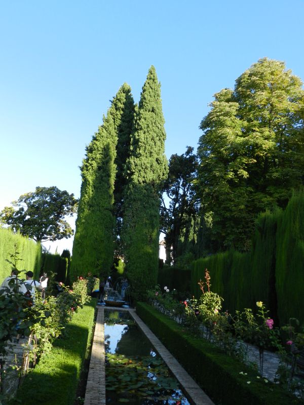 DSCN4312.jpg