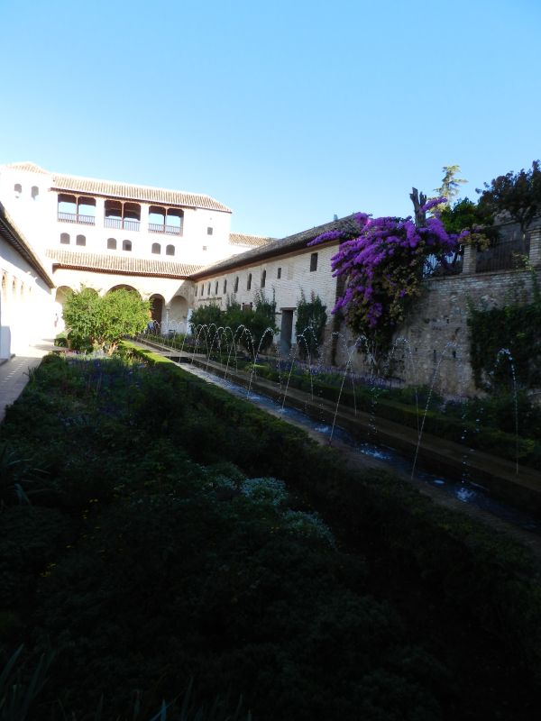 DSCN4326.jpg
