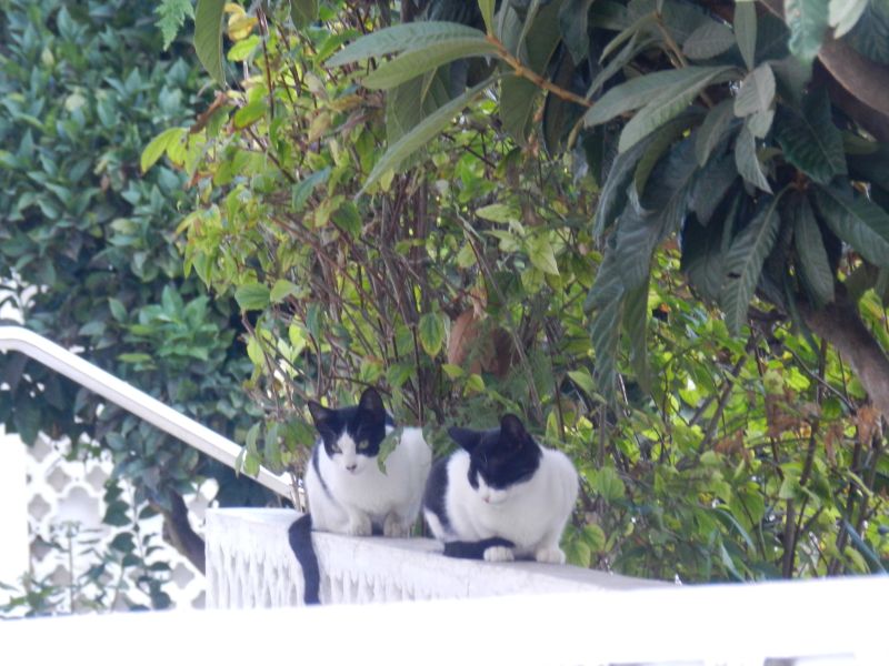DSCN4520.jpg