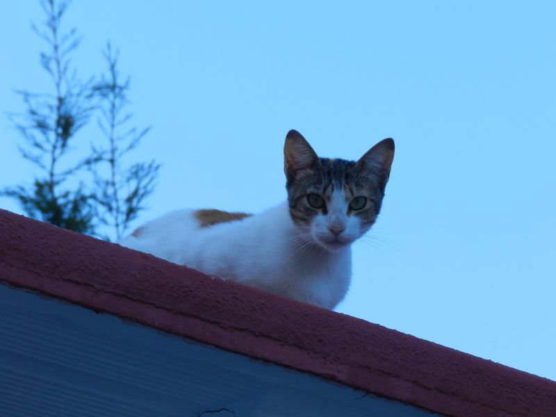 DSCN4523.jpg