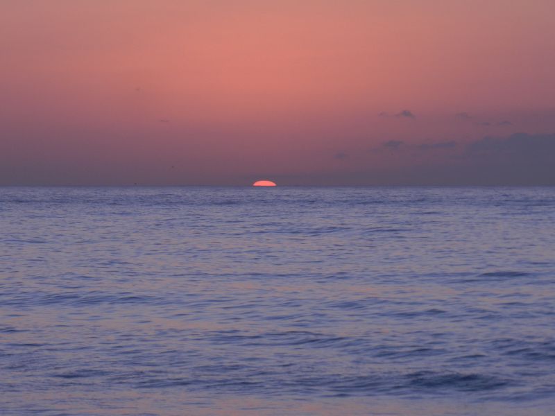 DSCN4591.jpg