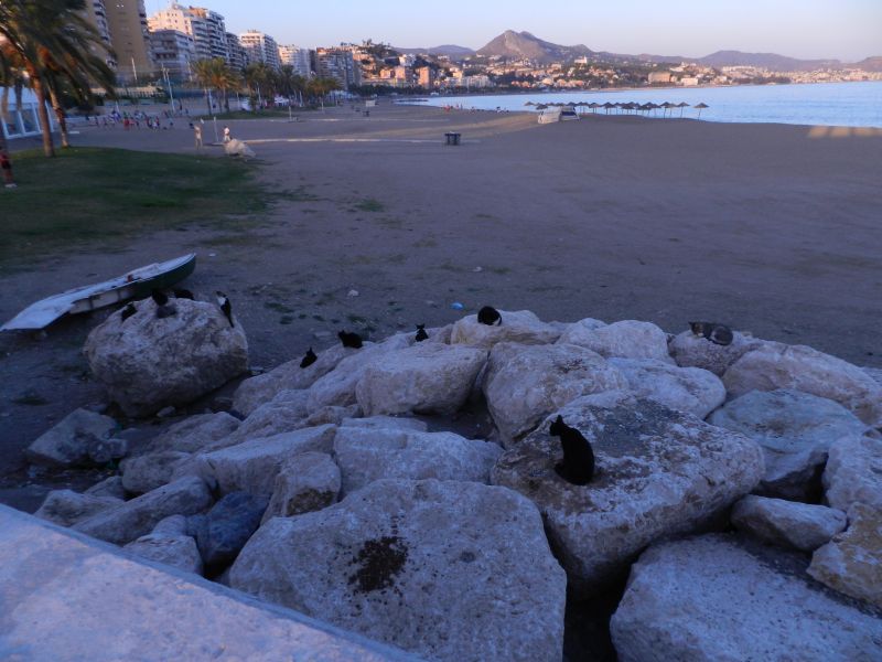 DSCN4623.jpg