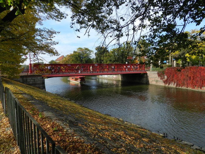 DSCN4677.jpg