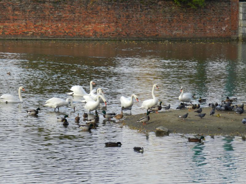 DSCN4731.jpg
