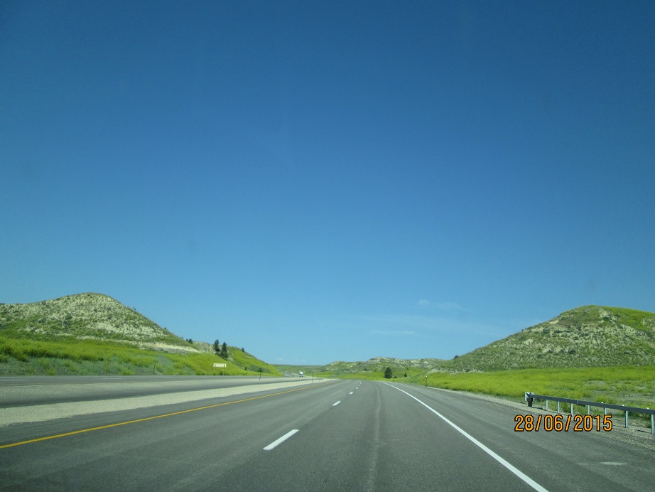 IMG_2971.jpg