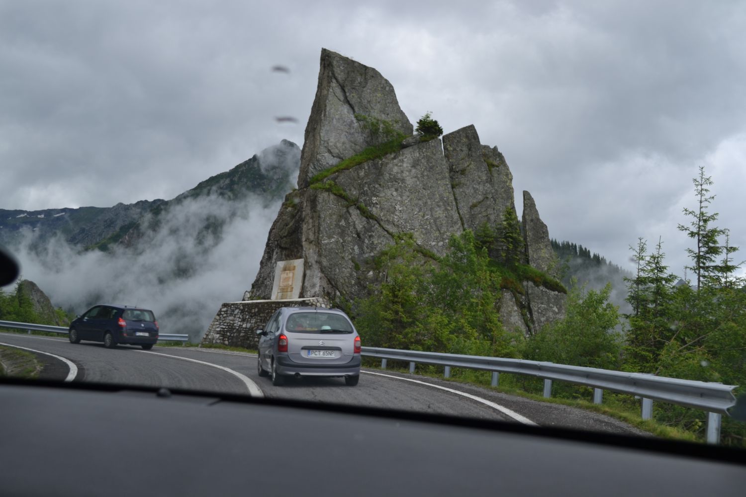 DSC_0103.JPG