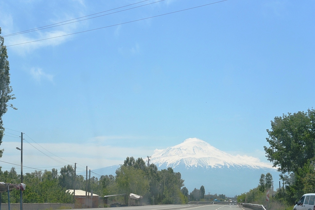 DSC_6625.JPG