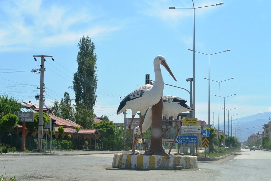 DSC_6627.JPG