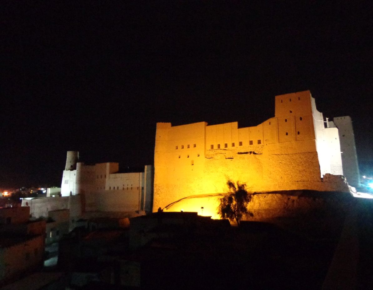 fort w bahli.jpg