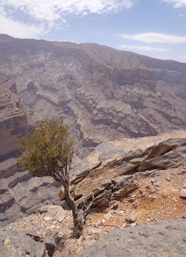 wadi gul.jpg