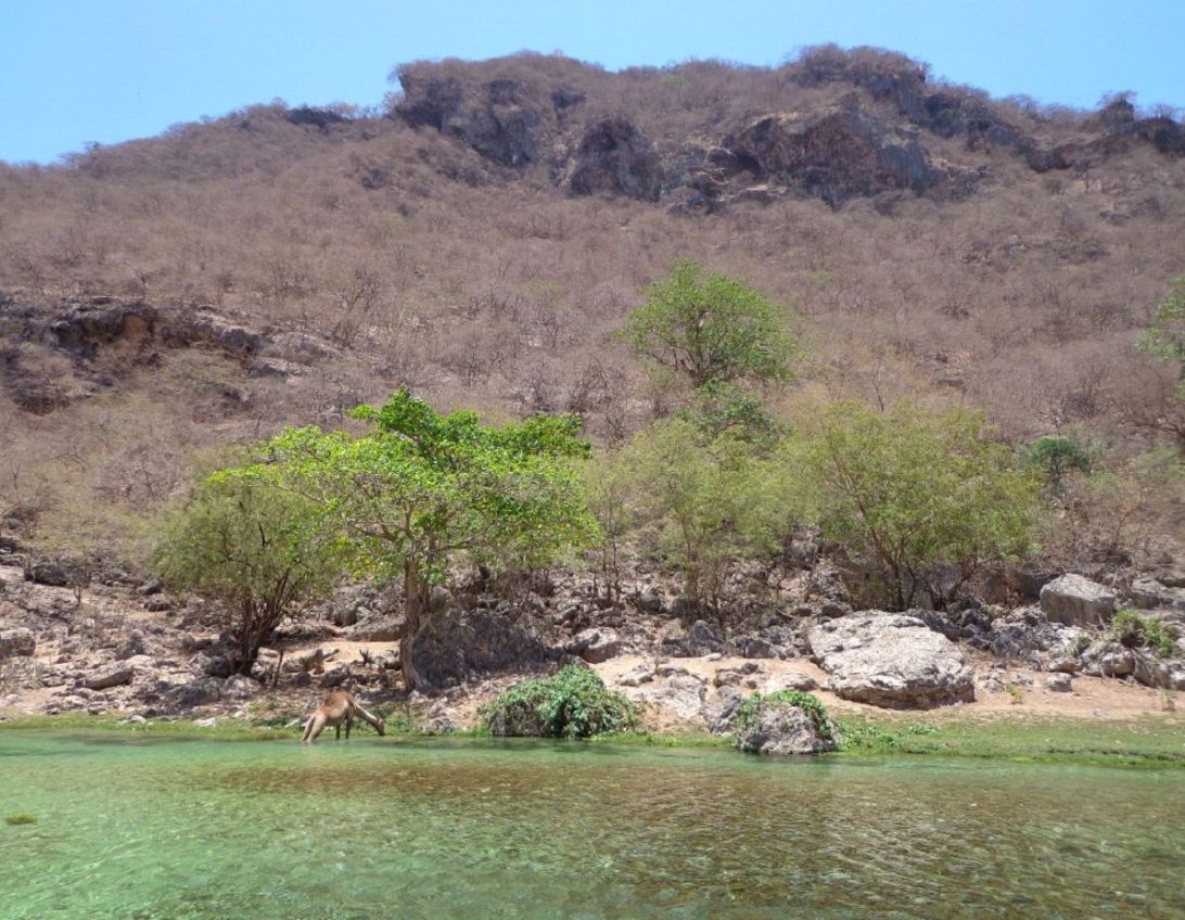 wadi darat2.jpg