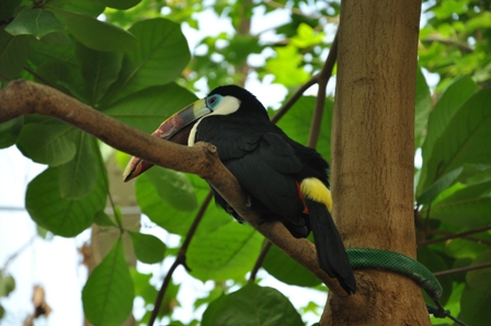 DSC_0283.JPG