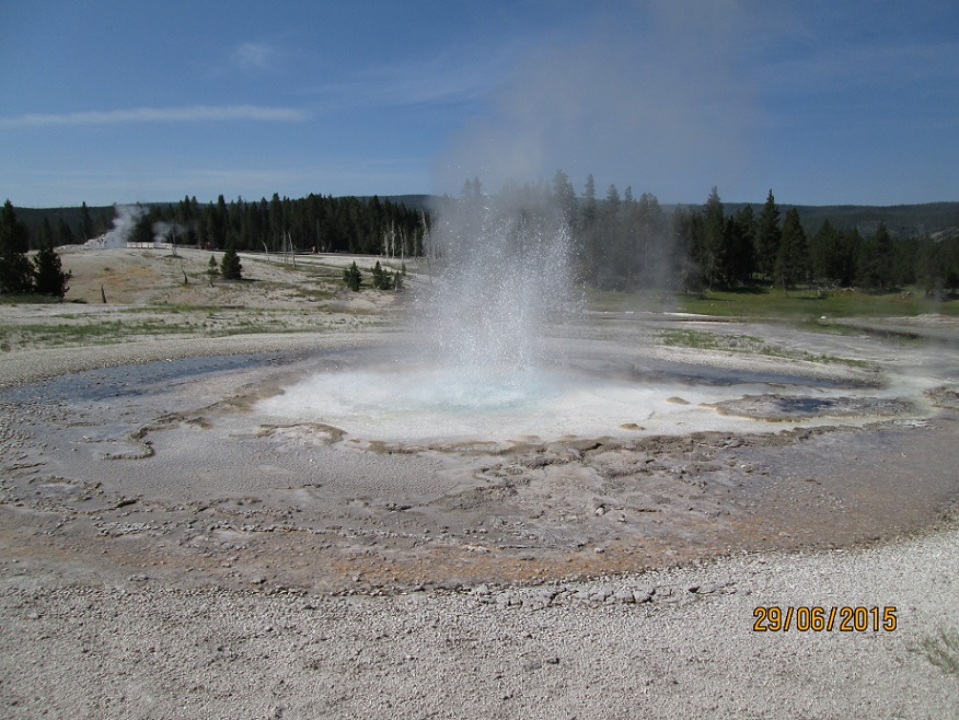 IMG_3070.jpg
