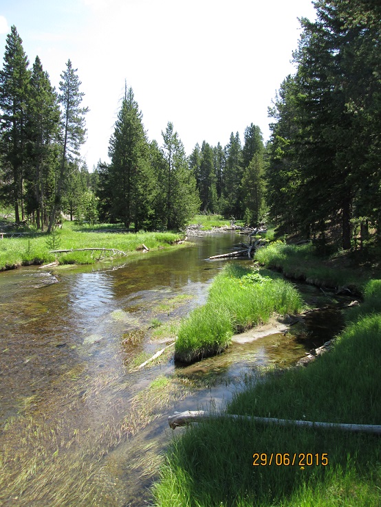 IMG_3098.jpg