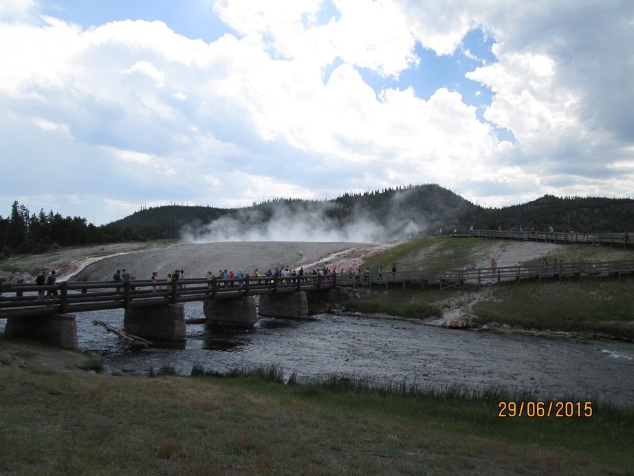 IMG_3125.jpg