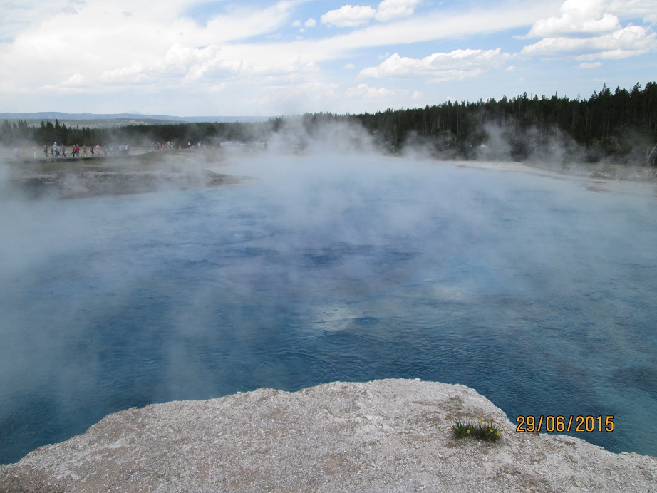 IMG_3136.jpg